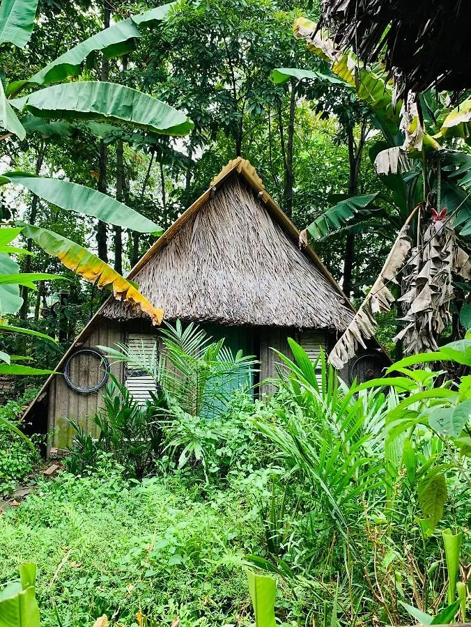 Saigon Garden Homestay Ho Chi Minh City Vietnam
